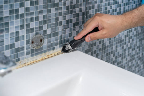 Best Black Mold Removal  in Keizer, OR